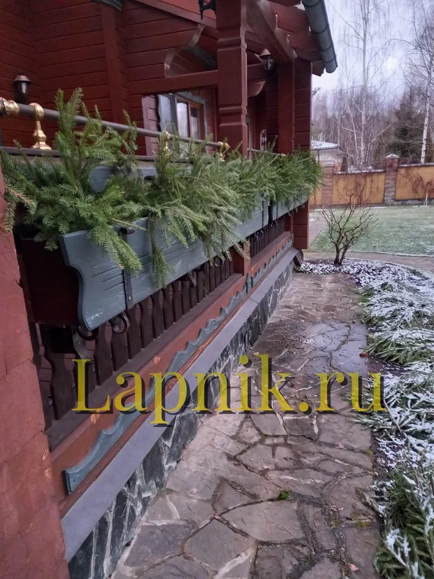 image-5