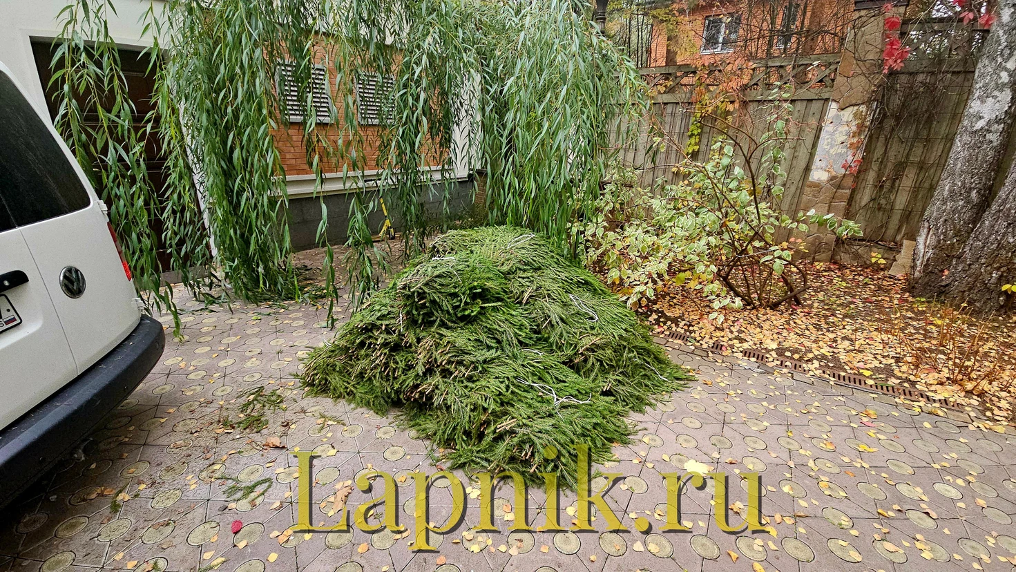 image-3
